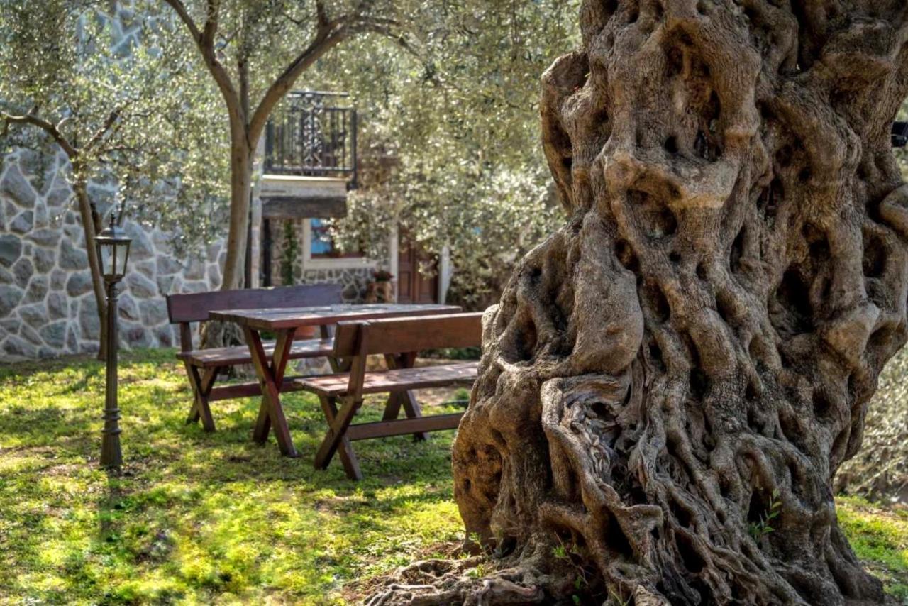 Olive Queen Rustic Estate Bar Bagian luar foto