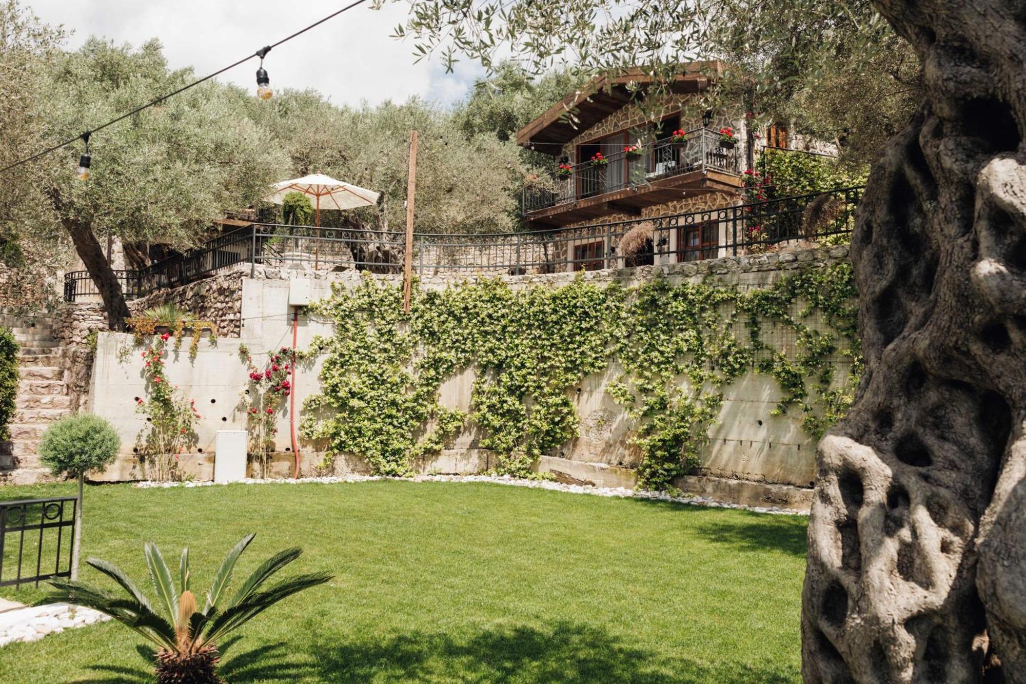 Olive Queen Rustic Estate Bar Bagian luar foto