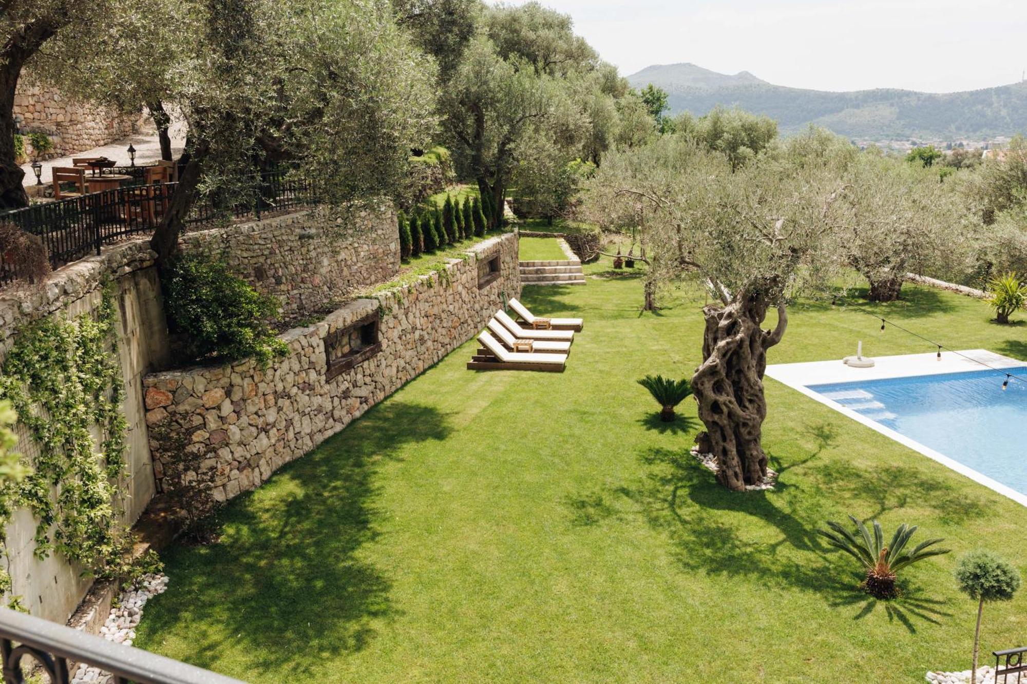 Olive Queen Rustic Estate Bar Bagian luar foto