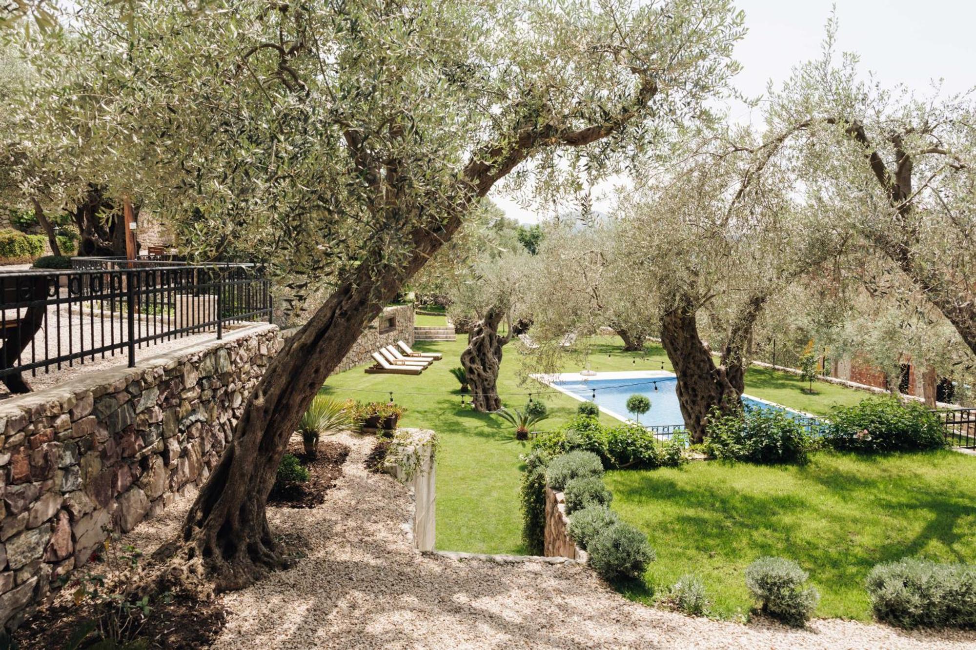 Olive Queen Rustic Estate Bar Bagian luar foto