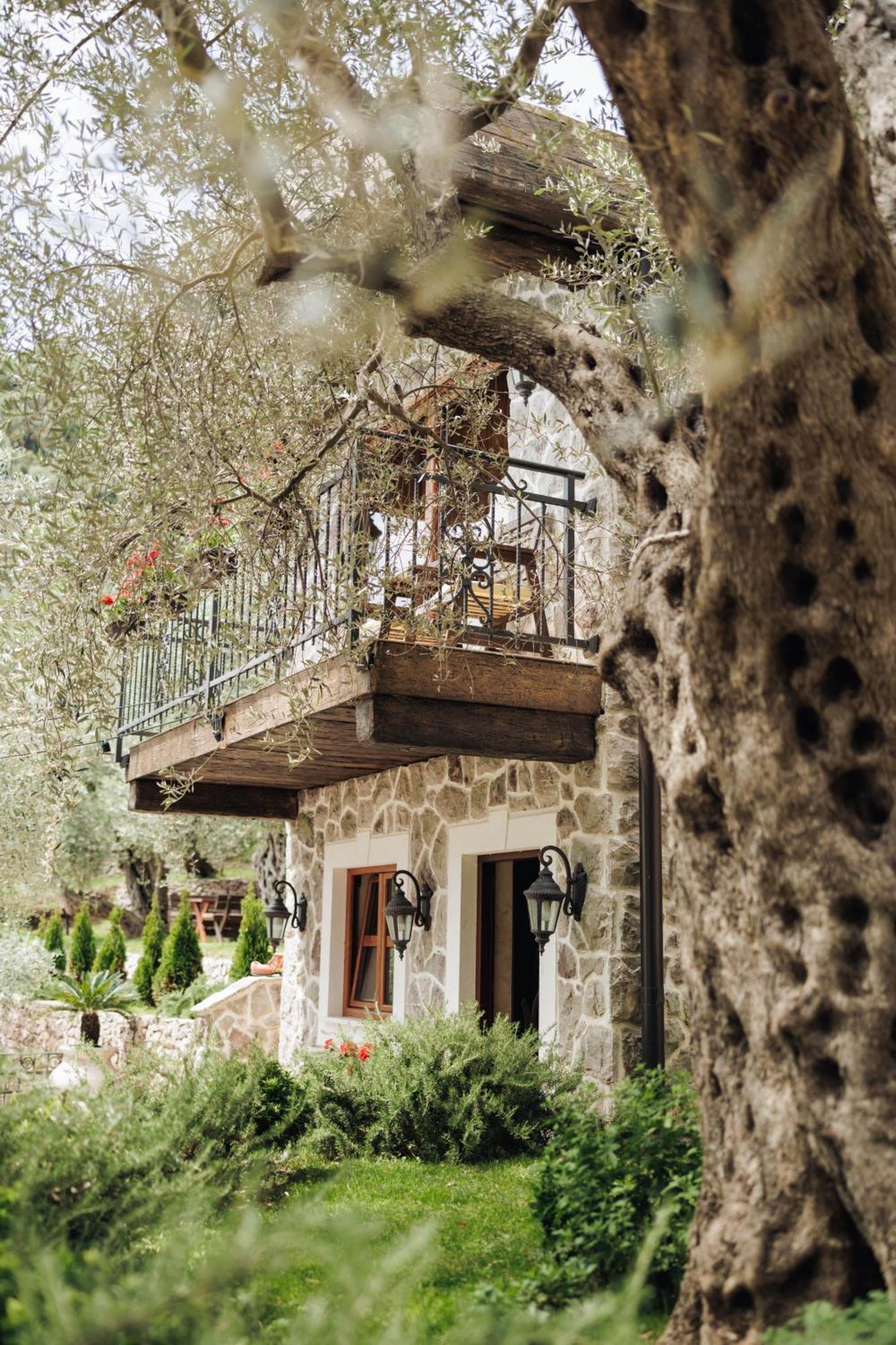 Olive Queen Rustic Estate Bar Bagian luar foto