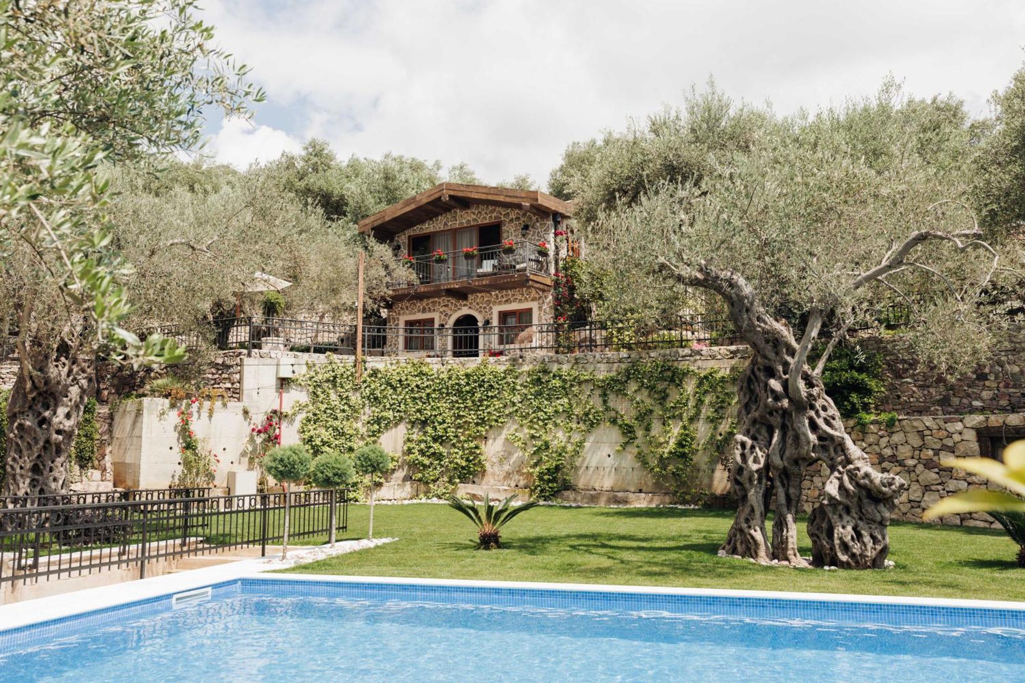 Olive Queen Rustic Estate Bar Bagian luar foto